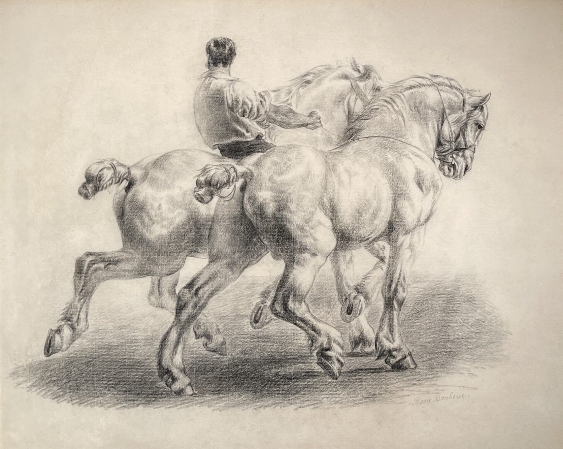 Highlights of Master Drawings NY and Classic Week at Christies – New York 2025